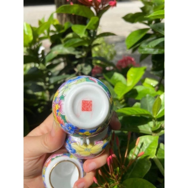 Cóng chim chào mào Bamboo cóng chim dán decal tàu chất liệu sứ kèm tai tre cao cấp