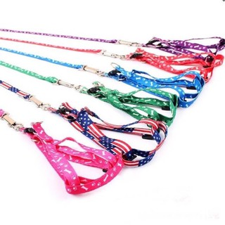 Dây dắt yếm 1 lớp cho chó mèo