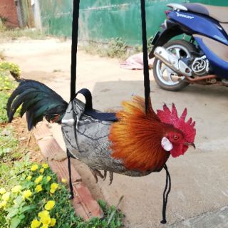 5 Túi đựng gà có 2 lỗ chân
