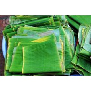 Lá chuối tươi gói bánh