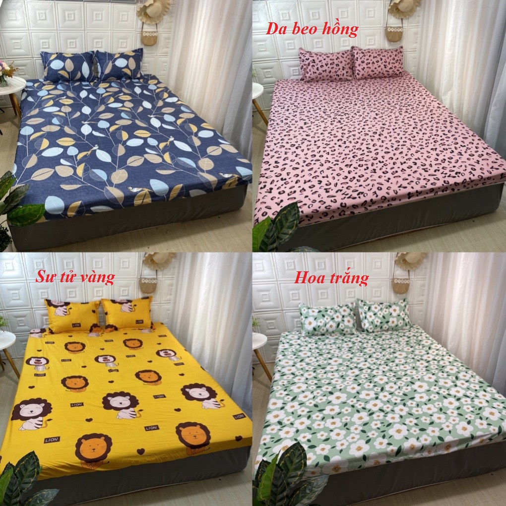 Bộ ga gối poly cotton được chọn mẫu