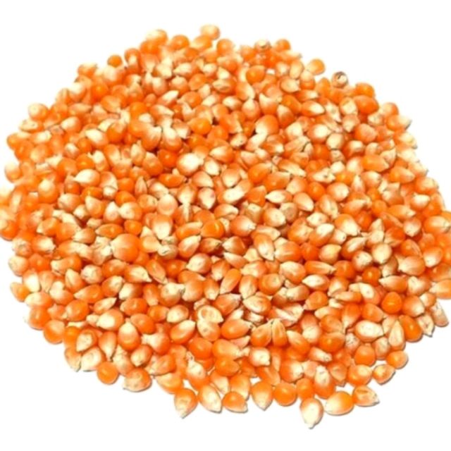 Ngô Mỹ làm bắp rang bơ 500Gr