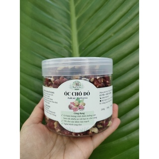 Óc chó đỏ (nhân)