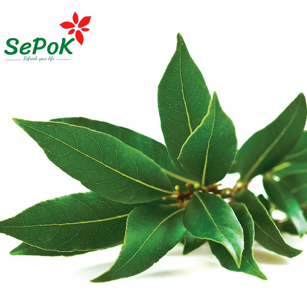 Lá Nguyệt Quế Khô SePok gói 50g-100g