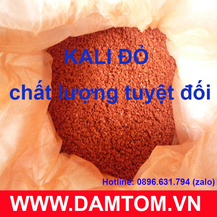 Phân kali đỏ  túi 1kg - Tăng độ ngọt và mùi thơm tự nhiên của nông sản, hoa quả