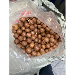 AVMM | Hạt mắc ca macca