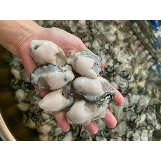 Hào Sữa Tách Vỏ - Loại Ngon 500G / 1 Kg