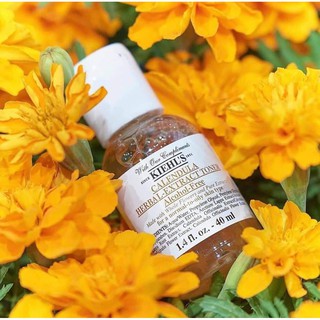 Toner hoa cúc Kiehls 40ml