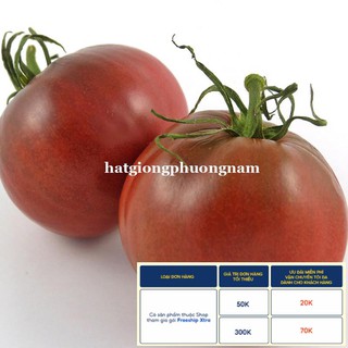 5H - HẠT GIỐNG CÀ CHUA CHOCOLA