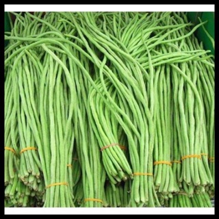 Hạt giống Đậu đũa cao sản (gói 20 gram) ☘️