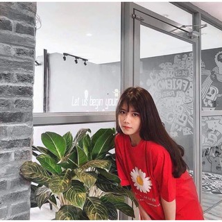 [GIÁ SỈ] Áo thun hoa cúc (Sỉ từ 5sp bất kỳ)