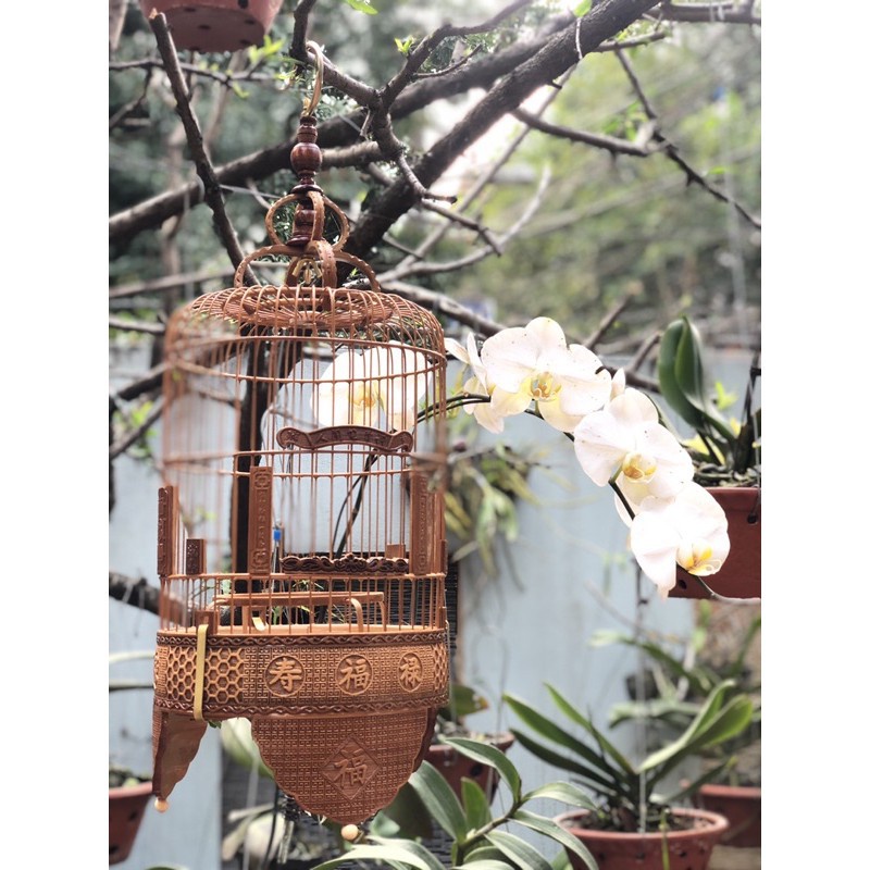 LỒNG CHIM KHUYÊN KYMISA LỒNG CHIM ĐỤC BẰNG TRE ĐẸP