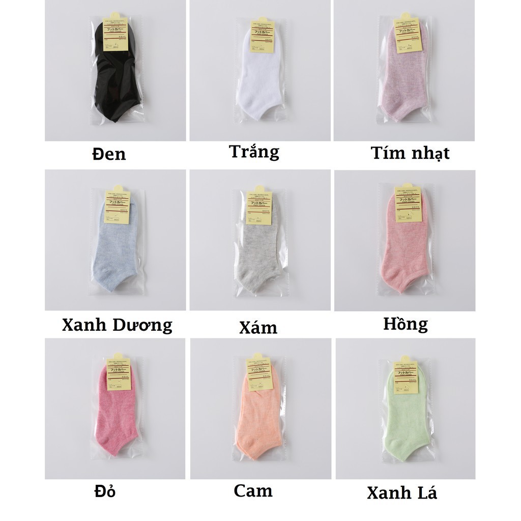 [❌BÁN SỈ❌ ]Tất nữ cổ ngắn basic cotton trơn nhiều màu đơn giản 88157