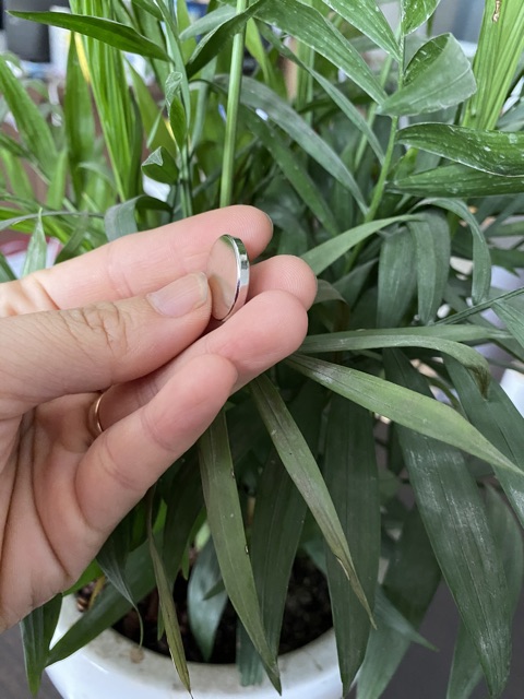 Nam châm viên tròn mỏng: 20x2mm