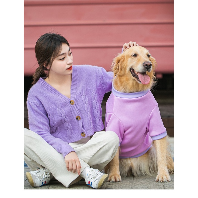 áo nỉ giả POLO dành cho chó giống lớn