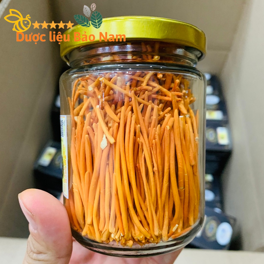 Đông trùng hạ thảo Huy Cương loại 1 lọ 10g