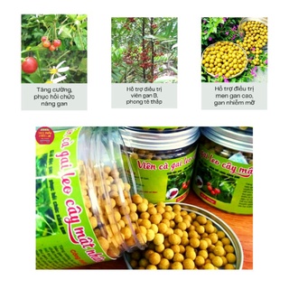 Viên Cà Gai Leo Cây Mật Nhân, Hỗ Trợ Cải Thiện Chức Năng Gan, Hộp 500g