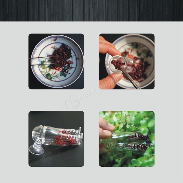 Phễu Acrylic Đa Năng Hình Ống Quần | Cho Cá Ăn Trùn Chỉ, Actermia, Bobo - Bẫy Sán - Bẫy Ốc Hại