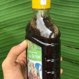 Enzym tẩy rửa đa năng bồ hòn quế