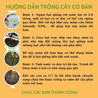 Hạt giống cà chua các loại
