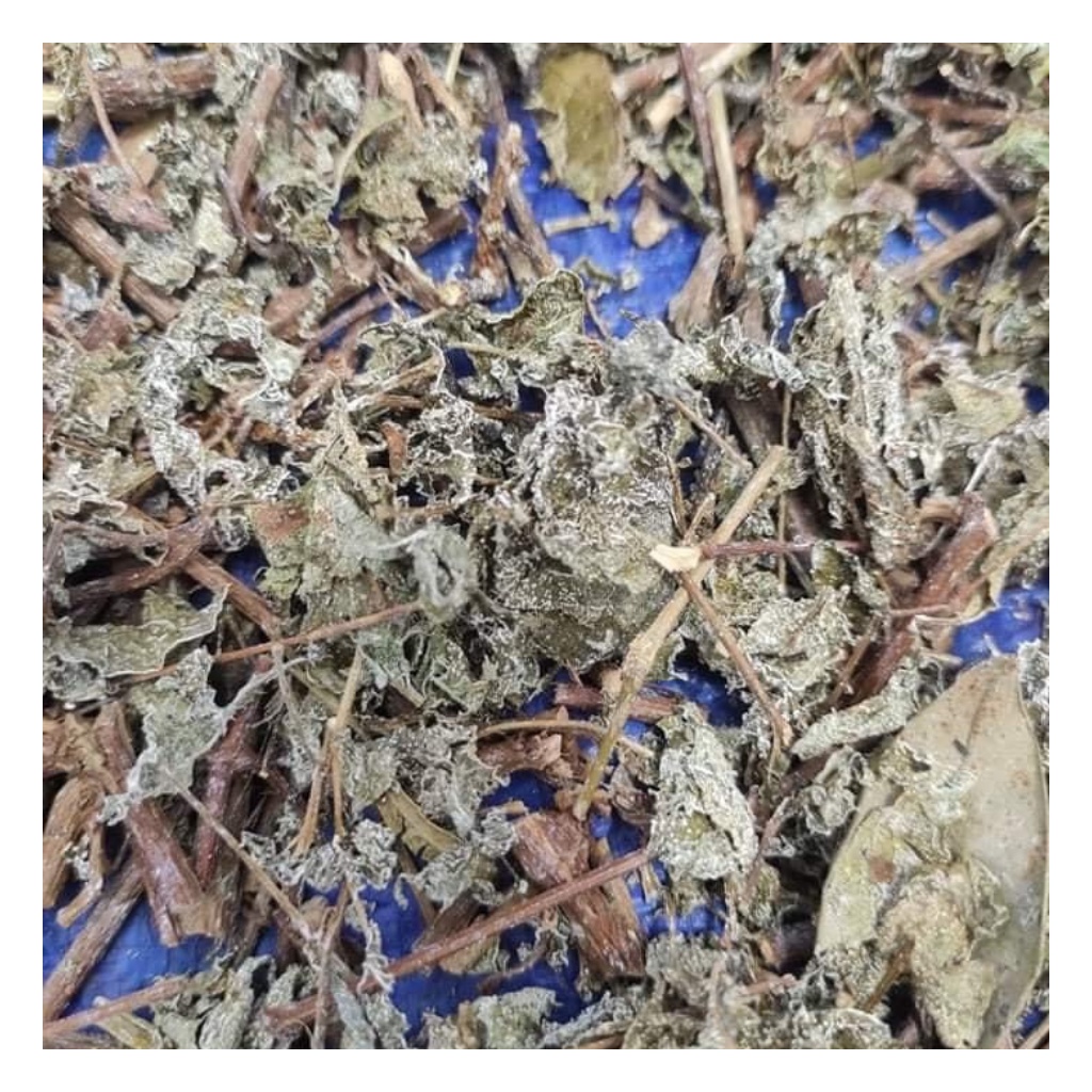 Chè Dây Cao Bằng Hỗ Trợ Dạ Dày Hiệu Quả Túi 1Kg | BigBuy360 - bigbuy360.vn