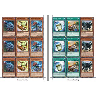 [BÀI IN] Yugioh Deck Dinosaur True King
