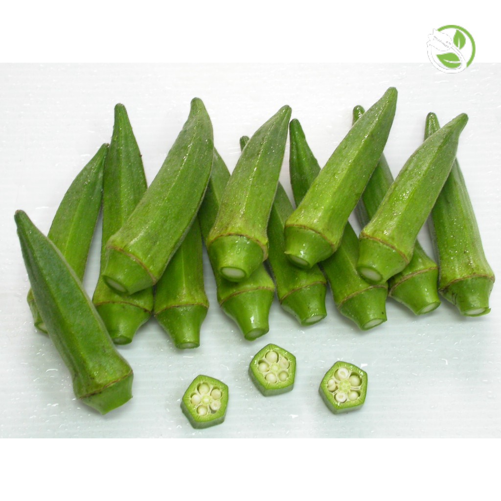 Hạt Giống Đậu Bắp Năm Cạnh Trái Trắng Cây Lùn Phú Nông - Gói 10g - Okra