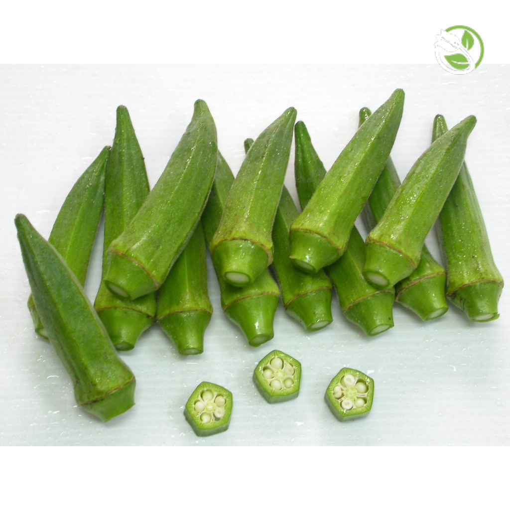 Hạt Giống Đậu Bắp Năm Cạnh Trái Trắng Cây Lùn Phú Nông  - Gói 10g - Okra