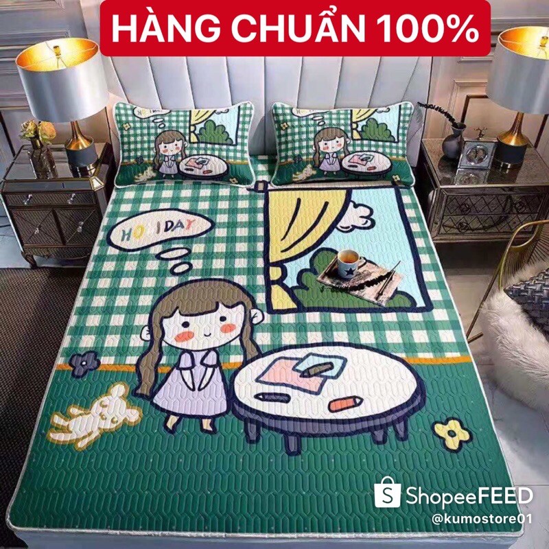 CHIẾU ĐIỀU HOÀ CAO SU NON IN HÌNH 5D SIÊU ĐẸP SIÊU MÁT