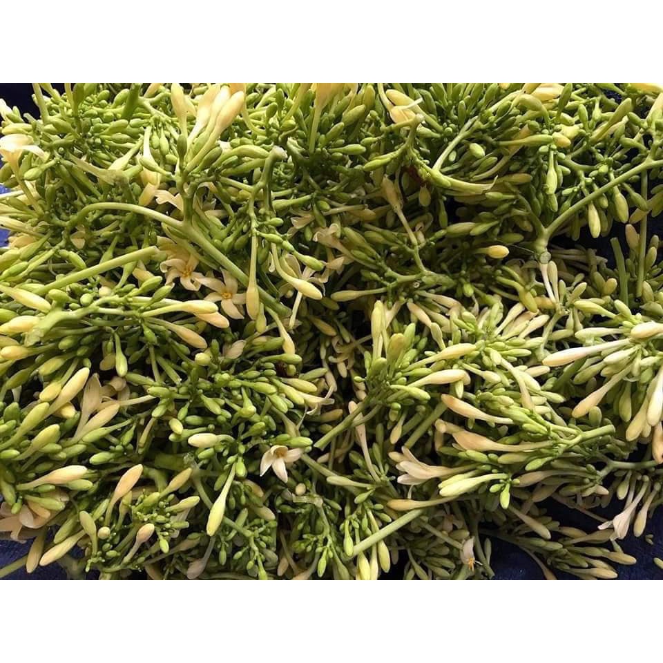 Hoa đu đủ đực phơi khô tự nhiên đóng bịch 0,5kg
