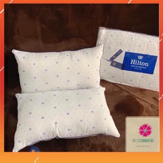 [Chuẩn 1.6kg] Ruột gối Hilton hàng loại 1, ảnh thật