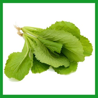 Hạt giống Cải Mơ
