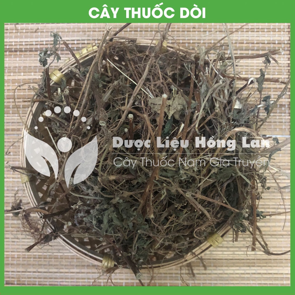 CÂY THUỐ.C DÒI (BỌ MẮM) khô sạch đóng gói 1kg - congtyduoclieuhonglan