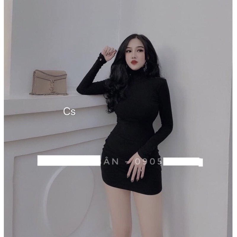 Đầm body cổ lọ thun borip nhiều màu- Hàng bao đẹp | BigBuy360 - bigbuy360.vn