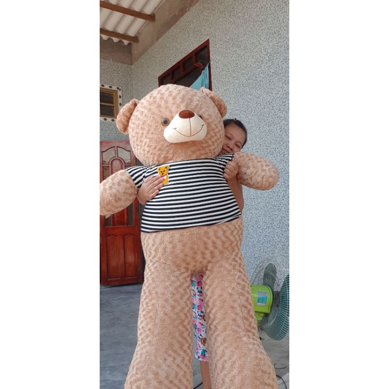 Gấu Teddy 1m8