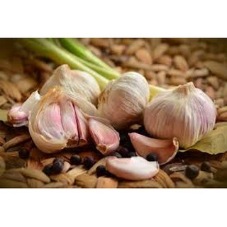 Gia Vị Nấu Ăn Việt