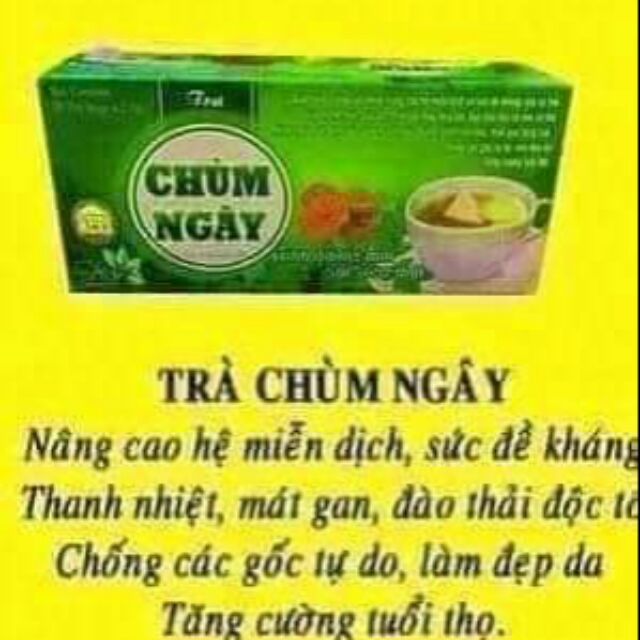 Trà chùm ngây xạ đen_ linh chi