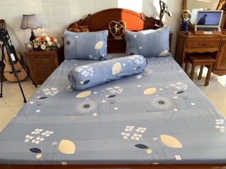 Drap cotton hàn quốc