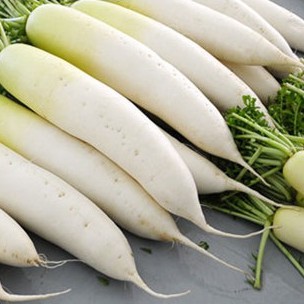 Hạt giống Củ Cải Trắng