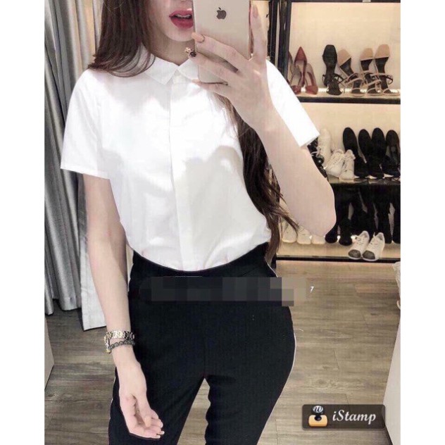 ICO - Áo sơ mi TRẮNG CỘC TAY dáng công sở VAV LUXURY