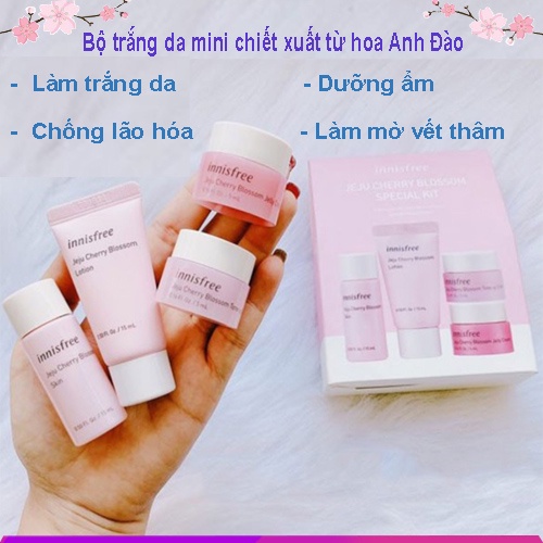 Kem Dưỡng Da Innisfree Bộ Mini Chiết Xuất Từ Hoa Anh Đào Jeju Cherry Blossom Kit