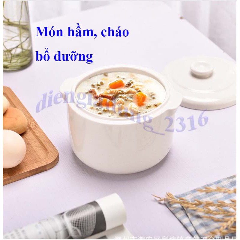 Nồi nấu cháo chậm, Nấu cháo trẻ em, hầm, nấu súp, các món hấp _ tặng kèm vỉ hấp