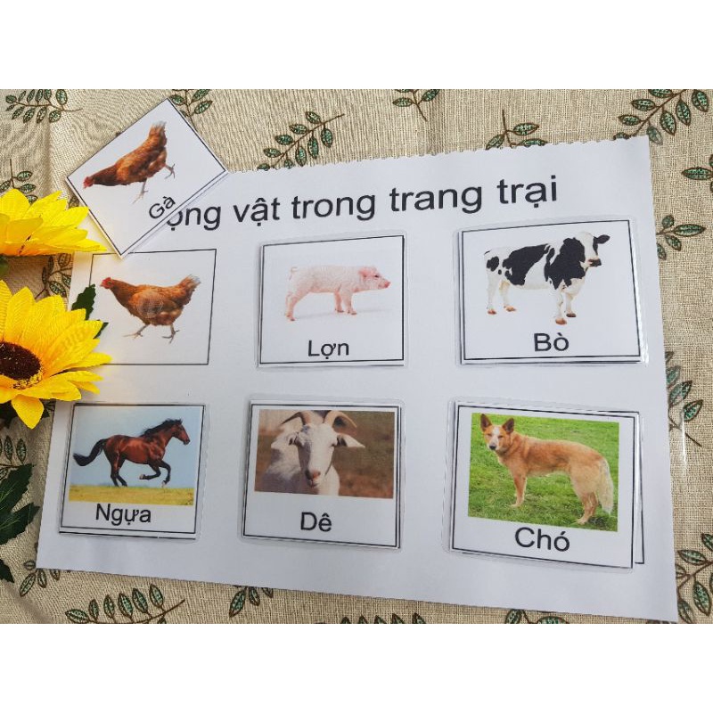 [MONTESSORI] Học Liệu Tiếng Việt Chọn Lọc  làm bằng giấy in ảnh(17 Trang)