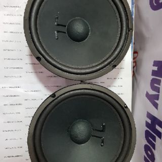1 cặp BASS 25cm