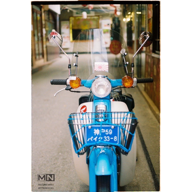 ⭐️ Logo cánh chim chính hãng