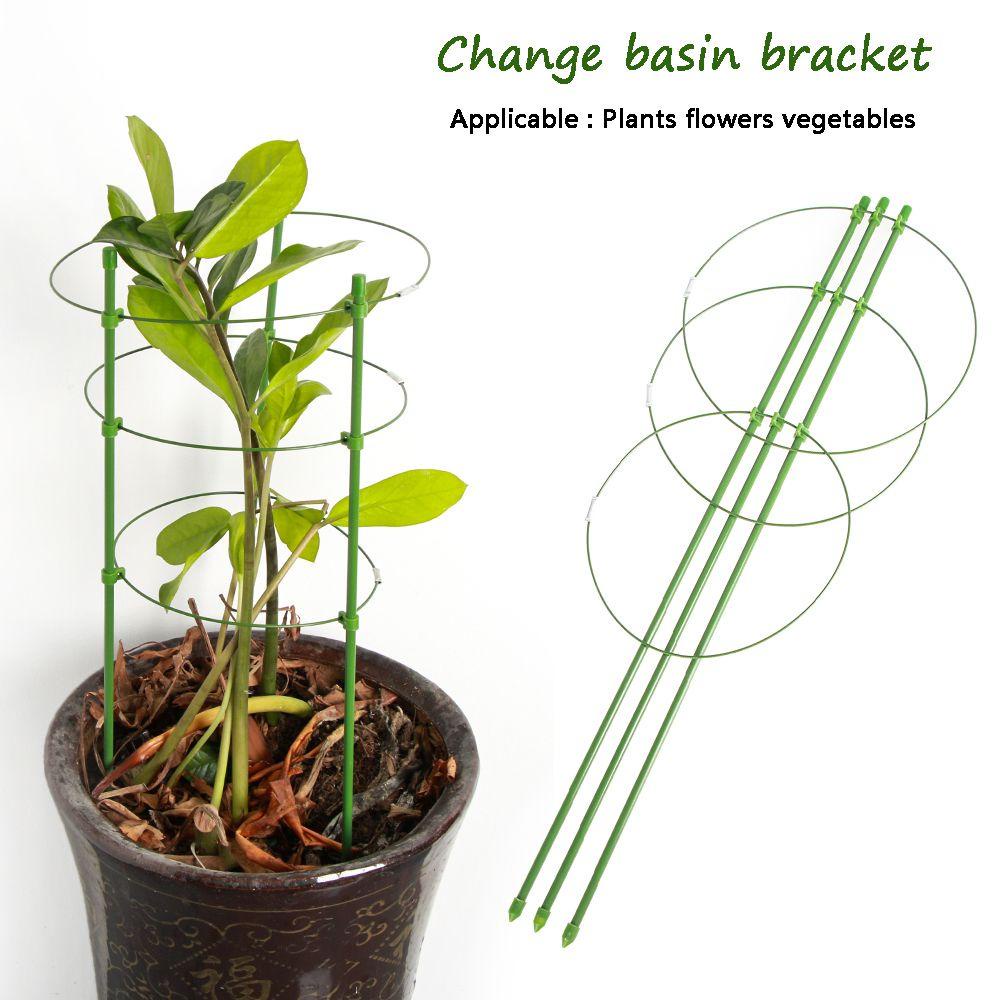 Giá Trồng Cây Dây Leo Màu Xanh Lá Cây Dùng Trong Nông Nghiệp Mẫu Mới