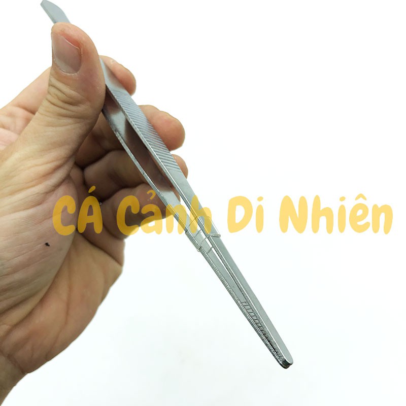 Nhíp mũi THẲNG trồng cây thủy sinh bằng inox SIZE 20 cm