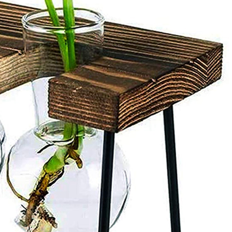 Chậu Trồng Cây Thủy Tinh Kèm Giá Đỡ Gỗ 3 Bóng Đèn Độc Đáo Trang Trí Nhà Cửa / Văn