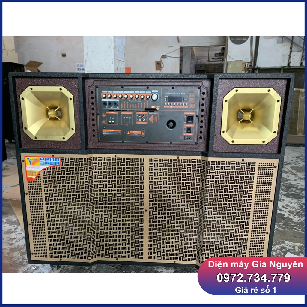 Loa bình 4 tấc đôi bo DSP Reverbx300W, kèn 450, coil 65x2, trung 12x2, kèm 2 micro UHF xịn, bảo hành 12 tháng