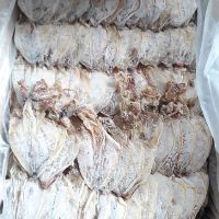 Mực khô Vân đồn, size 70-80con/kg